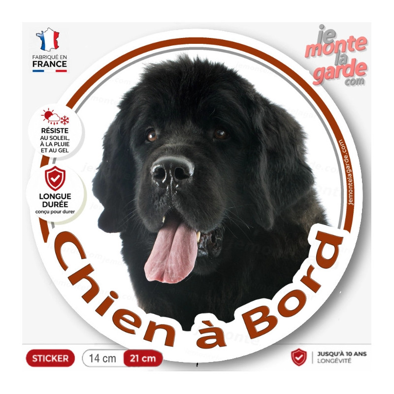 Terre Neuve noir, Sticker autocollant rond "Chien à Bord" Disque adhésif vitre voiture photo, résiste dehors Terre Neuve noir, Sticker autocollant rond "Chien à Bord" Disque adhésif vitre voiture photo, résiste dehors