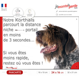Plaque Griffon Korthals humour "Attention au Chien parcourt Distance Niche - Portail moins de 3 secondes" photo, résiste dehors