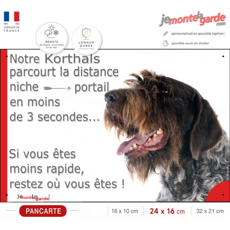 Plaque Griffon Korthals humour "Attention au Chien parcourt Distance Niche - Portail moins de 3 secondes" photo, résiste dehors
