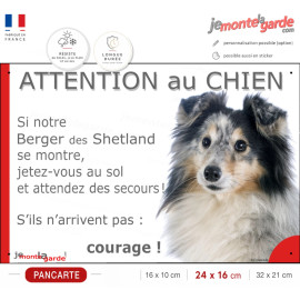 Berger Shetlands Bleu Merle, plaque portail humour "Attention au Chien, Jetez Vous au Sol, attendez secours, courage" photo