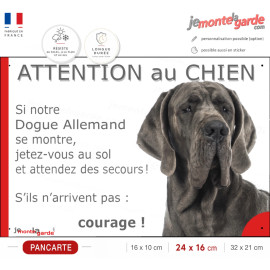 Dogue Allemand gris bleu, plaque portail humour "Attention au Chien, Jetez Vous au Sol, courage" photo DanoiS, résiste dehors