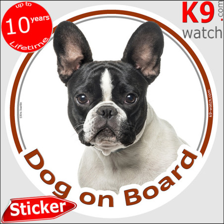 Black and white pied French Bulldog “Dog on Board” car sticker featuring bold markings, white blaze and classic bat ears.
