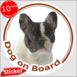 Brindle pied French Bulldog “Dog on Board” car sticker, weather-resistant and made in France – a distinctive Frenchie gift.
