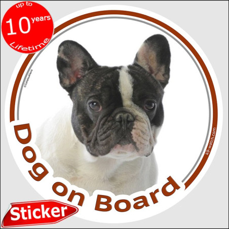 Brindle pied French Bulldog “Dog on Board” car sticker, weather-resistant and made in France – a distinctive Frenchie gift.