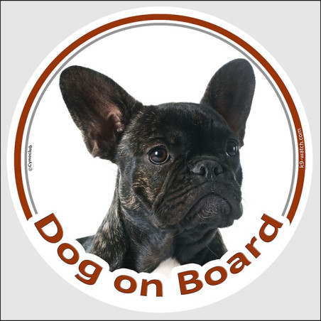Brindle French Bulldog Dog on Board Car Sticker, 2 Sizes