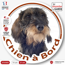 Teckel marron sanglier à poils durs, sticker autocollant rond "Chien à Bord" Disque adhésif vitre voiture photo, résiste dehors