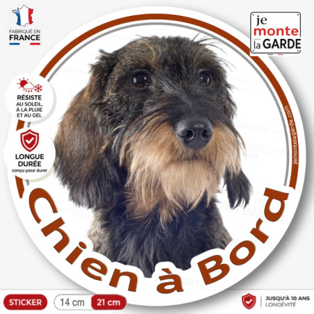 Teckel marron sanglier à poils durs, sticker autocollant rond "Chien à Bord" Disque adhésif vitre voiture photo, résiste dehors