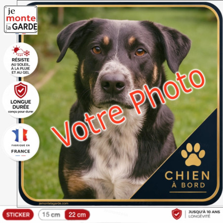 Photo personnalisable, photo autocollant carré "Chien à Bord" Sticker MONACO sur mesure vitre voiture, résiste à l'extérieur