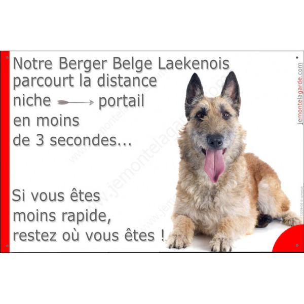 Berger Belge Laekenois couché, Plaque Portail humour "distance niche-portail 3 secondes" pancarte, affiche panneau drôle