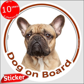 Fawn French Bulldog “Dog on Board” car sticker with black mask, weather-resistant and made in France – a great Frenchie gift.