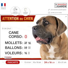 Cane Corso fauve, plaque portail humour "Attention au Chien, Nombre de Voleurs, ballons, facteurs" photo, résiste à l'extérieur