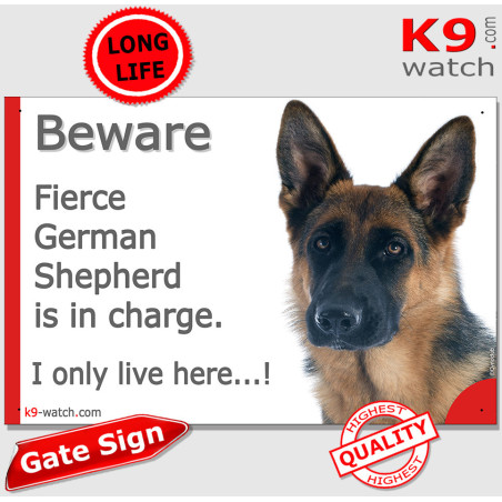 Shorthaired German Shepherd “I only live here…!” sign, black and tan, weather-resistant, made in France – original GSD gift