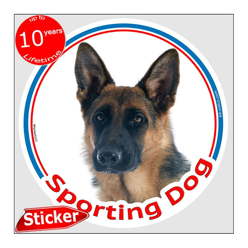 Black and tan Shorthaired German Shepherd Sporting Dog sticker, weather-resistant, made in France – for canine sport enthusiasts
