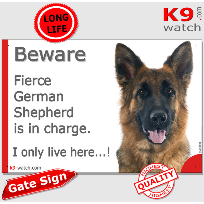 Funny German Shepherd sign “Fierce German Shepherd is in charge. I only live here…!” longhaired black & tan GSD, French made