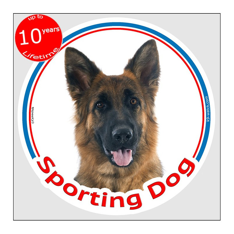 Sporting Dog sticker with black & tan Longhaired German Shepherd for agility, canine sports or transport crate, made in France