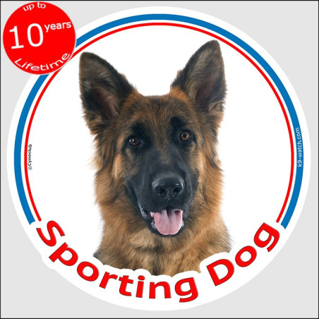Sporting Dog sticker with black & tan Longhaired German Shepherd for agility, canine sports or transport crate, made in France