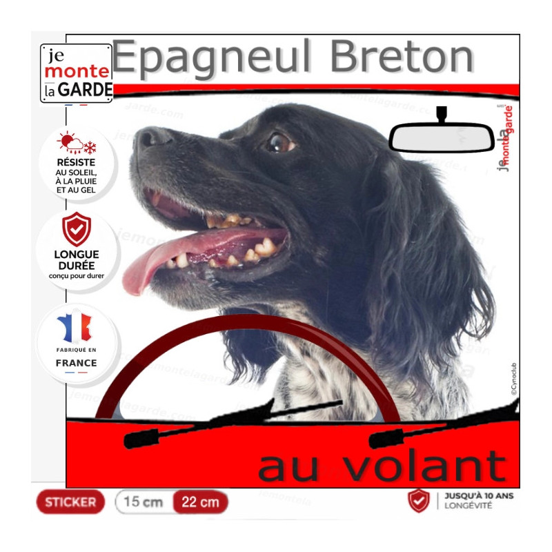 "Epagneul Breton blanc et noir au volant" panneau autocollant humoristique voiture photo chien à bord, résiste à l'extérieur "Epagneul Breton blanc et noir au volant" panneau autocollant humoristique voiture photo chien à bord, résiste à l'extérieur
