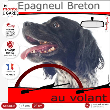"Epagneul Breton blanc et noir au volant" panneau autocollant humoristique voiture photo chien à bord, résiste à l'extérieur