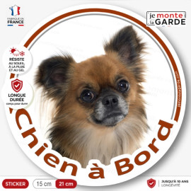 Chihuahua fauve charbonné poils longs, sticker autocollant rond "Chien à Bord" Disque adhésif vitre voiture photo