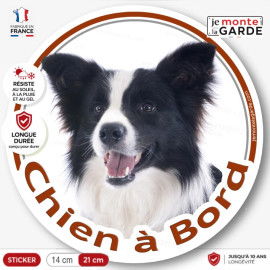 Border Collie noir et blanc poils longs, sticker autocollant rond "Chien à Bord" Disque adhésif vitre voiture auto photo