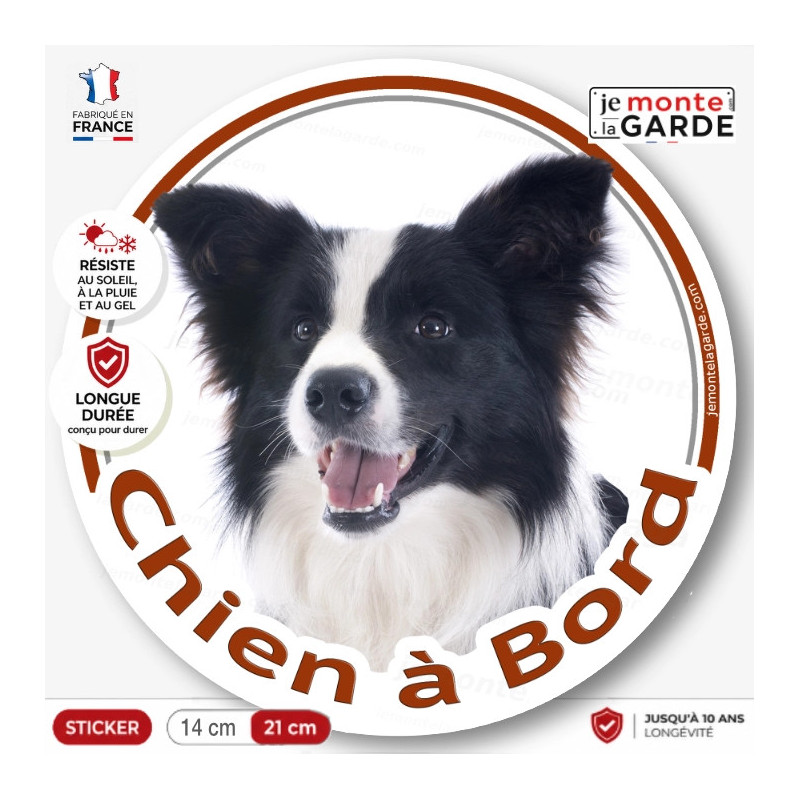 Border Collie noir et blanc poils longs, sticker autocollant rond "Chien à Bord" Disque adhésif vitre voiture auto photo
