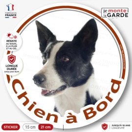 Border Collie noir et blanc poils courts, sticker autocollant rond "Chien à Bord" Disque photo adhésif voiture, résiste dehors