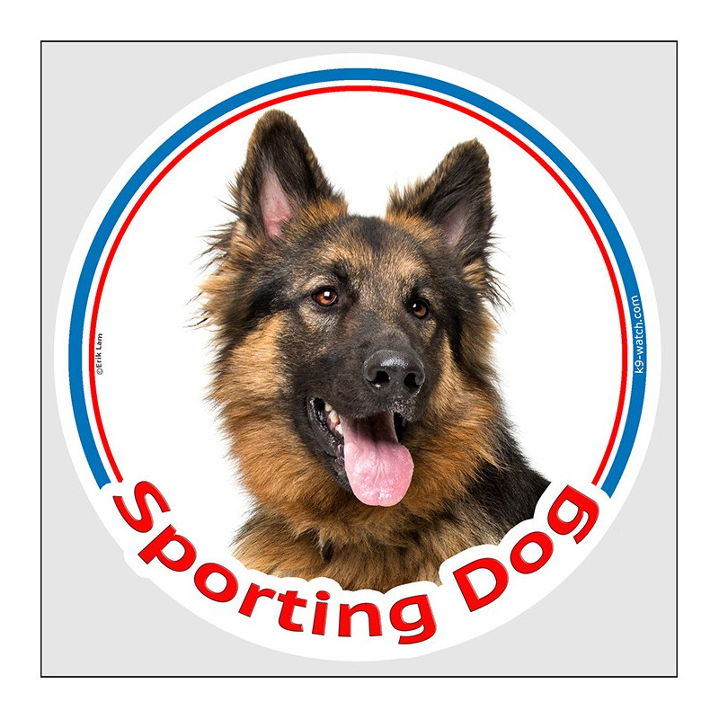 Sporting Dog sticker, black & tan Longhaired German Shepherd, weather-resistant, made in France – for agility and canine sports