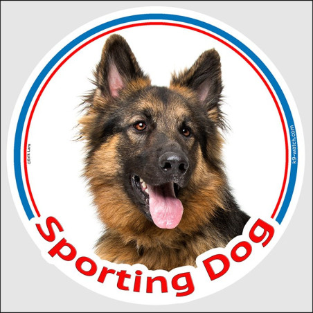 Sporting Dog sticker, black & tan Longhaired German Shepherd, weather-resistant, made in France – for agility and canine sports