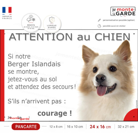 Berger Islandais fauve et blanc, plaque portail humour "Attention au Chien, Jetez Vous au Sol," photo, résiste dehors
