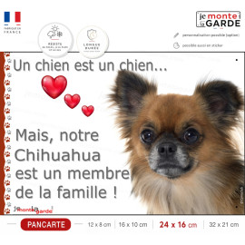 Chihuahua fauve charbonné poils longs, plaque "Un chien est Membre de la Famille" photo idée cadeau cadre, résiste dehors