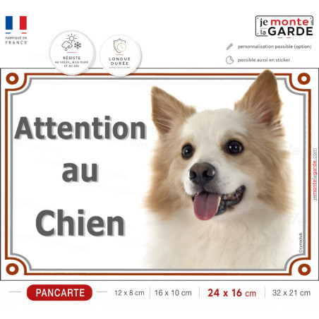 Berger Islandais fauve et blanc, plaque portail "Attention au Chien" photo, résiste pluie soleil gel, idée cadeau