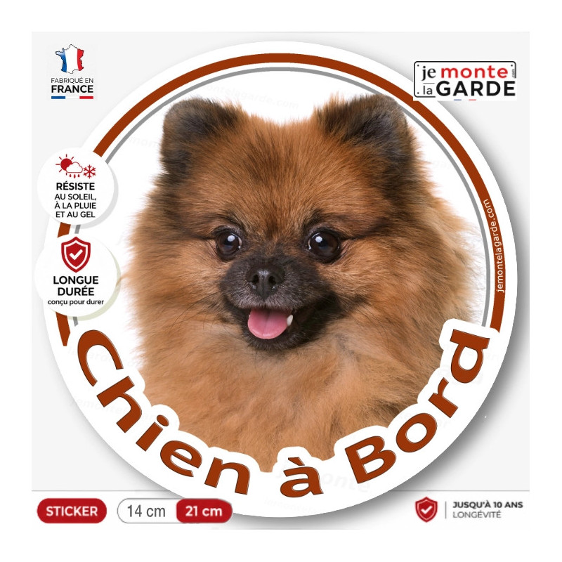 Spitz loulou fauve marron orange, sticker autocollant rond "Chien à Bord" Disque adhésif vitre voiture photo, résiste dehors