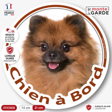 Spitz loulou fauve marron orange, sticker autocollant rond "Chien à Bord" Disque adhésif vitre voiture photo, résiste dehors