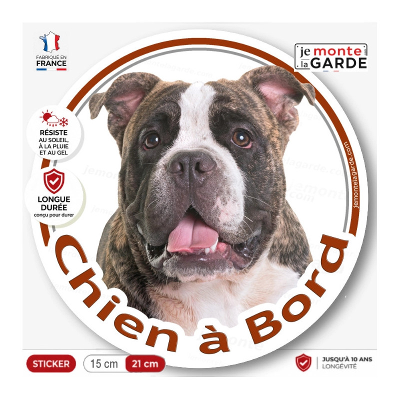 American Bully bringé Tête, sticker autocollant rond photo "Chien à Bord" Disque voiture auto adhésif américain, résiste dehors American Bully bringé Tête, sticker autocollant rond photo "Chien à Bord" Disque voiture auto adhésif américain, résiste dehors