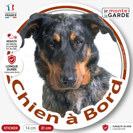 Beauceron Arlequin Tête, sticker rond "Chien à Bord" Disque autocollant Berger Beauce merle voiture auto photo, résiste dehors