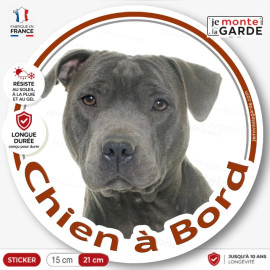 Staffie bleu gris, sticker autocollant rond "Chien à Bord" Disque photo Staffy Tête, adhésif vitre voiture, résiste extérieur