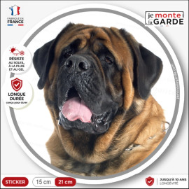 Mastiff Tête, sticker autocollant rond "photo" disque adhésif, résiste à l'extérieur, idée cadeau, fabriqué en France