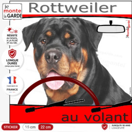 "Rottweiler au volant" panneau autocollant humoristique voiture photo sticker drôle chien à bord, résiste dehors