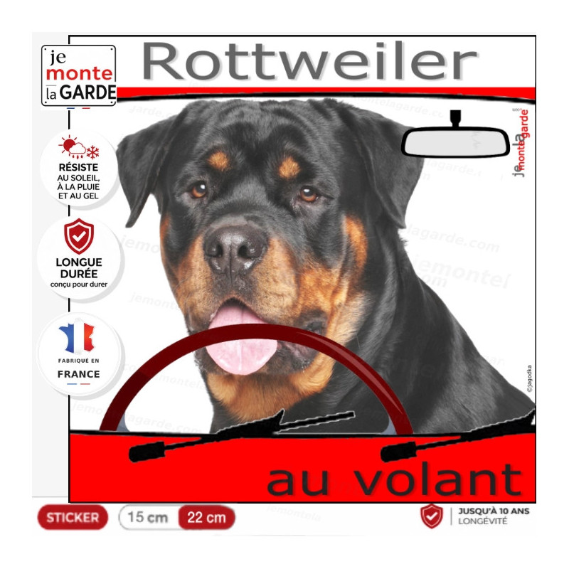 "Rottweiler au volant" panneau autocollant humoristique voiture photo sticker drôle chien à bord, résiste dehors