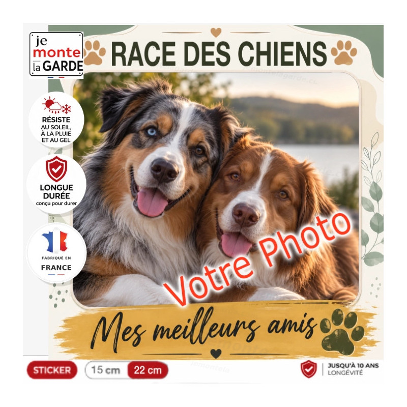 Sticker TOSCANE "Mes meilleurs amis" avec votre photo de chiens, résiste dehors, fabriqué France, idée cadeau personnalisée