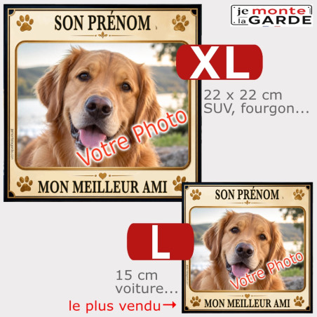 Sticker DUNE "Mon meilleur ami" avec votre photo de chien, idée cadeau personnalisée, comparaison des tailles dispos en photo