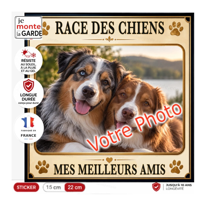 Sticker DUNE "Mes meilleurs amis" avec votre photo de chiens, résiste dehors, fabriqué France, idée cadeau personnalisée