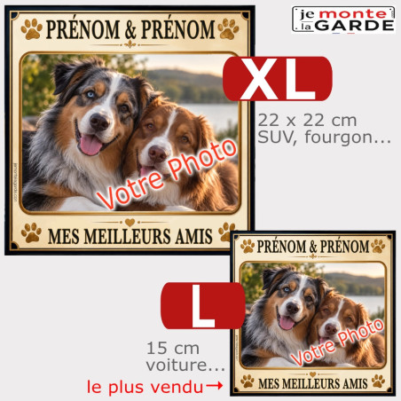 Sticker DUNE  "Mes meilleurs amis" avec votre photo de chiens, comparaison des tailles disponibles en photo