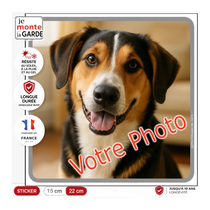Sticker carré avec la photo de votre chien, bordure grise, résiste dehors, fabriqué en France, une idée cadeau