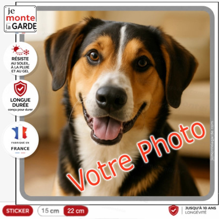 Sticker carré avec la photo de votre chien, bordure grise, résiste dehors, fabriqué en France, une idée cadeau