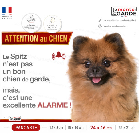 Plaque humour  "Attention au Chien, le Spitz fauve est une ALARME" 4 Tailles