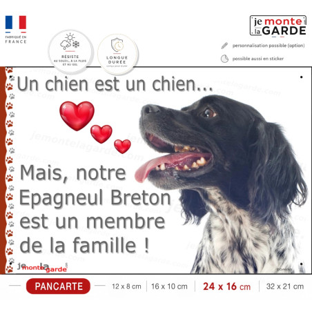 Epagneul Breton noir, plaque photo "Membre de la Famille" 4 Tailles