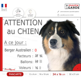 Berger Australien Tricolore noir, pancarte Portail humour "Attention au Chien,  Nombre Voleurs, ballons, facteurs" photo Aussie