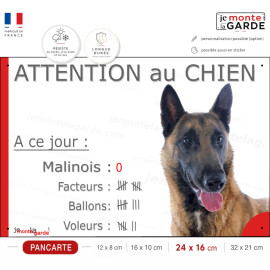 Berger Belge Malinois, Pancarte Portail drôle "Attention au Chien, Nombre de Voleurs, ballons, facteurs" photo, résiste dehors