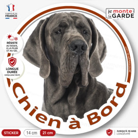 Dogue Allemand gris bleu, sticker autocollant rond "Chien à Bord" Disque adhésif photo Danois race